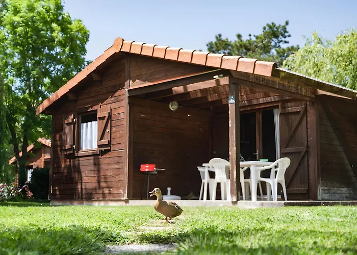 Kamp alanı Bois 3 Domaine Les Epinettes