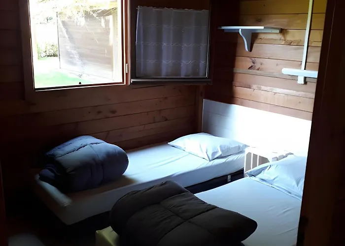 Kamp alanı Bois 3 Domaine Les Epinettes Saint-Gervais (Vendee)