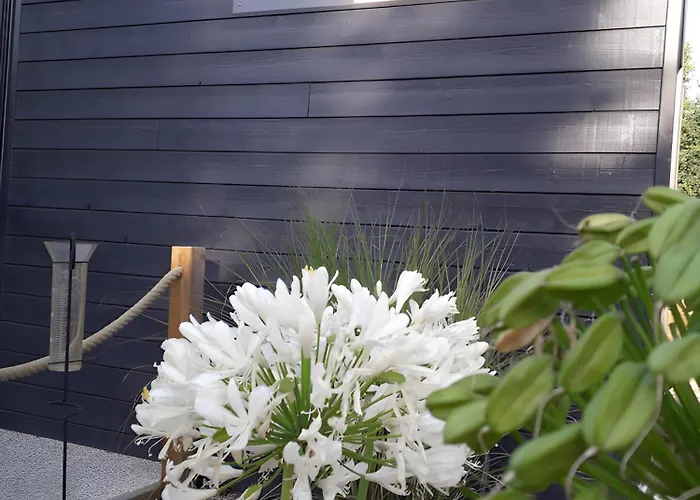 Bois 3 Domaine Les Epinettes *